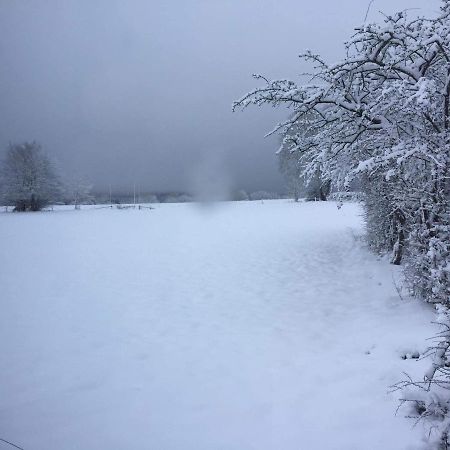 Villa Le Diamanster Francorchamps Stavelot Esterno foto