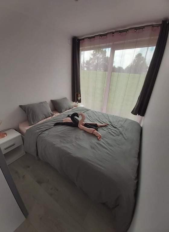 Villa Le Diamanster Francorchamps Stavelot Esterno foto