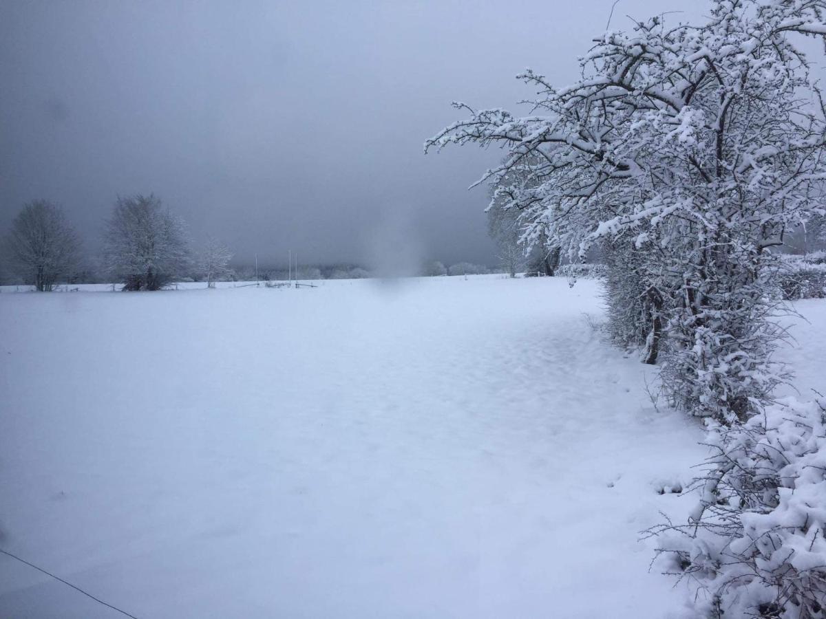 Villa Le Diamanster Francorchamps Stavelot Esterno foto